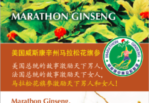 美国威斯康州辛马拉松花旗参