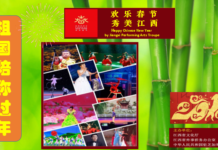 欢乐春节 祖国陪你过年