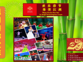 欢乐春节 祖国陪你过年