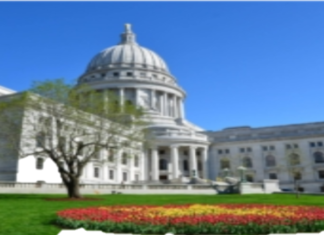 麦迪森华人协会首次民主选举理事会成员