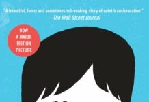 Young Adult Book Recommendations for Summer