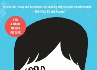 Young Adult Book Recommendations for Summer
