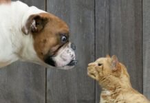 Tips for College Freshmen