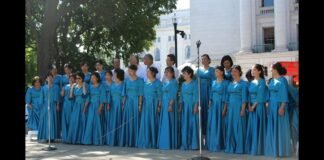 第四届威州华人文化日志愿者掠影