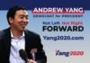 Who is Andrew Yang?
