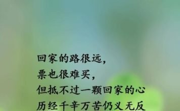 过年回家路|漫漫艰辛幸福路!