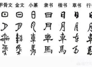 免费中文夏令营 获奖作品出炉 | 快来看看花落谁家?