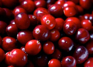 点亮节日餐桌的小红果–蔓越莓