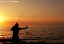 小镇往事之观钓鱼有感