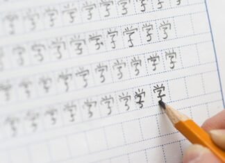 学习中文的这些年