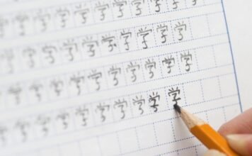 学习中文的这些年