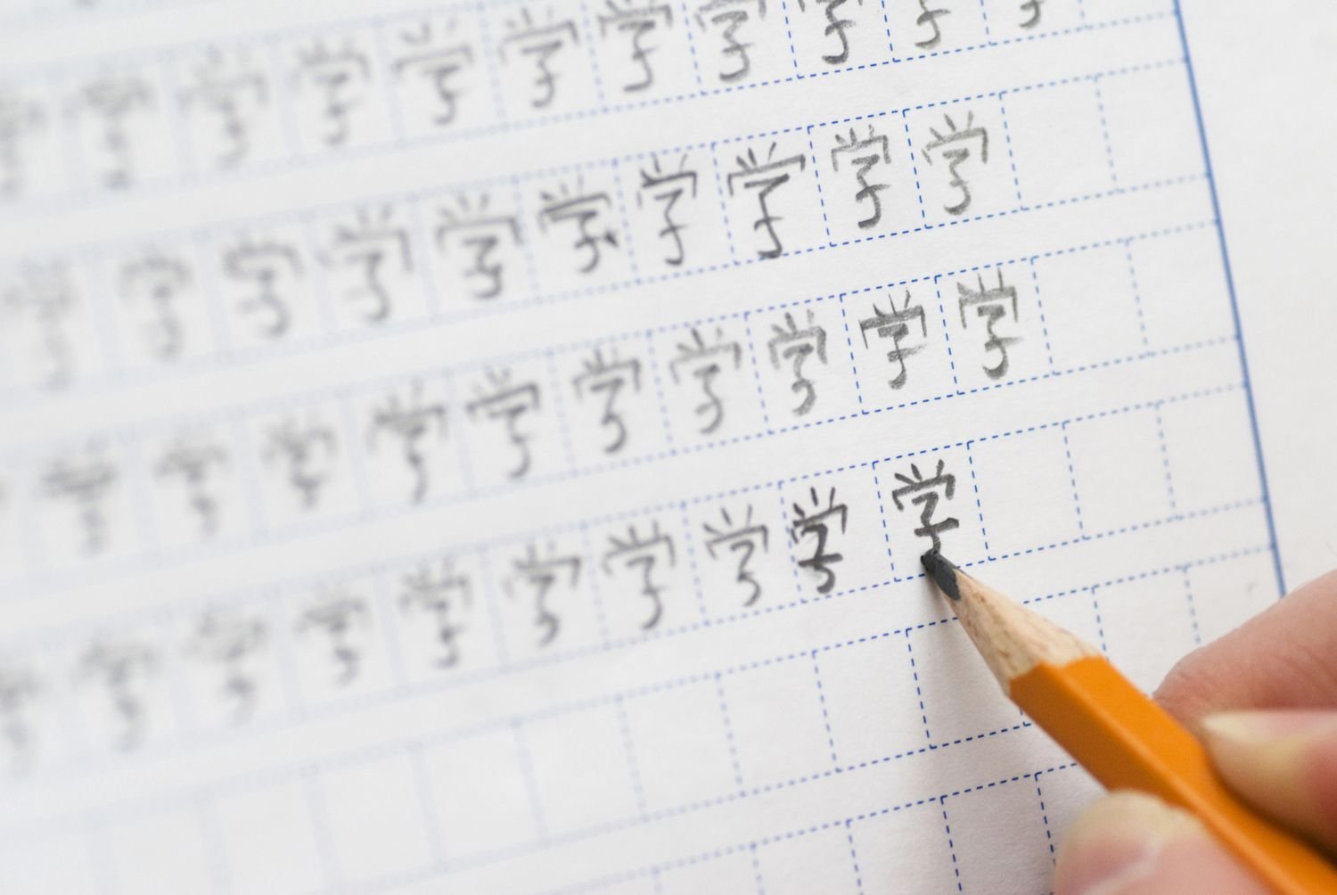 学习中文的这些年 | 密城时报