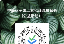 欢迎加入线上青少年文化交流公益活动