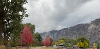 我从山中来 带来山中事