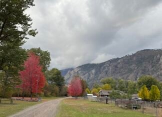我从山中来 带来山中事