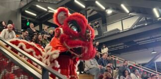 “火马”奔腾 好运来!