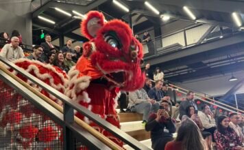 “火马”奔腾 好运来!